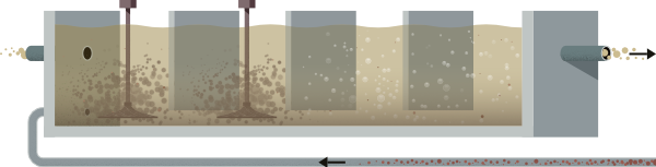 Illustration Biologie